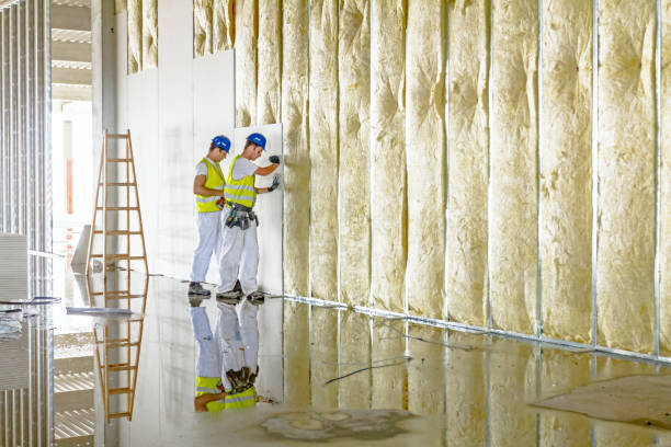 Best Insulation Maintenance and Repair in Manhattan, NY